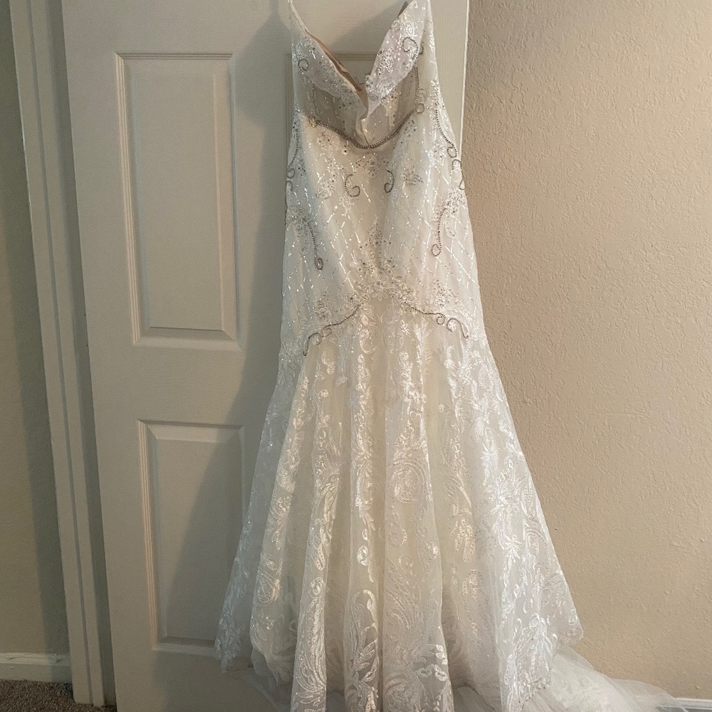 David’s Bridal Wedding dress with veil included